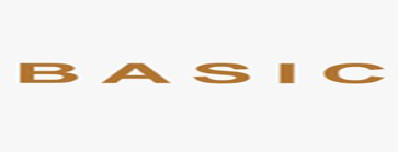 RealSpur Basic Package